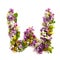 The letter Â«WÂ» made of various natural small flowers.