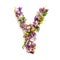 The letter Â«YÂ» made of various natural small flowers.