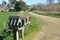 Letterboxes on a dirt farm road, North Canterbury New Zealand.