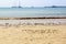 Lettering Atlantic ocean written on the beach wet sand. Boats on the water. Cascais, Portugal