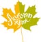 Lettering Autumn time on bright maple leaf on white, vector