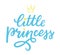 Lettering biue Little princess