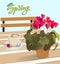 Lettering Hello spring. A table in a cafe with a flower cyclamen in a pot and a cup of coffee with candy. Vector illustration for