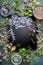 Lettering Herbal Tea on dark chalkboard. Various fresh herbs, tea tools and cup of tea on dark vintage background, frame, top view