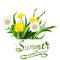 Lettering summer Chamomile herb, dandelion,