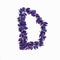 Letters of flowers, a bright alphabet of purple petals. Letter D