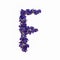 Letters of flowers, a bright alphabet of purple petals. Letter F