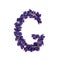 Letters of flowers, a bright alphabet of purple petals. Letter G
