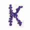 Letters of flowers, a bright alphabet of purple petals. Letter K