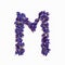 Letters of flowers, a bright alphabet of purple petals. Letter M