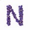 Letters of flowers, a bright alphabet of purple petals. Letter N