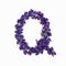 Letters of flowers, a bright alphabet of purple petals. Letter Q