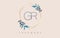 Letters GR g r Logo with golden polygon frames and gradient blue leaves design