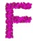 Letters made of pink flowers. F letter - flower alphabet