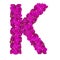 Letters made of pink flowers. K letter - flower alphabet