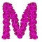Letters made of pink flowers. M letter - flower alphabet