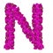 Letters made of pink flowers. N letter - flower alphabet
