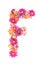 Letters and numbers made from live flowers isolated on white background, make text with flowers alphabet, exclusive idea for graph