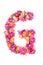 Letters and numbers made from live flowers isolated on white background, make text with flowers alphabet, exclusive idea for graph