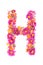 Letters and numbers made from live flowers isolated on white background, make text with flowers alphabet, exclusive idea for graph