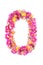 Letters and numbers made from live flowers isolated on white background, make text with flowers alphabet, exclusive idea for graph