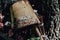 The letters on a rusting bucket with twisted wire handle near the early 1900s homestead of Faraway Ranch