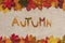 Letters of the word autumn on canvas