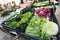 Lettuce, Cabbage, and other vegetables at fresh market