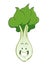 Lettuce Cartoon Character