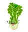 Lettuce in a cartoon style.  Fresh lettuce salad. Vector illustration on white background.