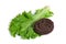 Lettuce or cookies and diet or dessert isolated