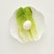 lettuce end eggs top view. Jewish pesah celebration symbols & x28;jewish Passover holiday& x29;.