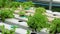 Lettuce growing in greenhouse Organic hydroponic vegetable farm