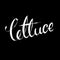 Lettuce hand drawn lettering text