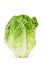 Lettuce heart