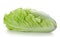 Lettuce heart on a white background