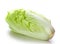 Lettuce heart on a white background