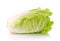 Lettuce heart on a white background