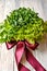 Lettuce leaves, arugula, fennel and parsley on a wooden background