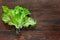 Lettuce leaves in a pot grown for sale in supermarkets.  Moisture and earth in the pot allow the salad to stay fresh for many days