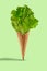 Lettuce leaves in a wafer cone against light green background. Healthy nutrition and seasonal vegetables harvest. Close