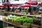 Lettuce on open market
