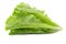 Lettuce Romain isolated on a transparent background