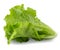 Lettuce Romain isolated on a white background