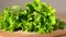 Lettuce salad falls on table macro shot, drops of water Close up