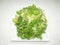 Lettuce salad healthful vitamin diet detail plate lunch Sao Paulo, Brazil