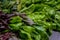 Lettuce for sale Unio Square Market, New York City