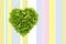 Lettuce in the shape of heart on colored tablecloth