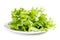 Lettuces leaves on plate