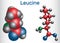 Leucine L- leucine, Leu, L molecule. It is essential amino acid. Molecule model